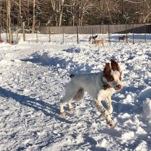 Meet your Posher, Annie